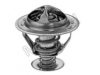 MOTORAD 2328-82 Thermostat, coolant